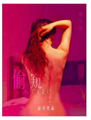 偷窥.   2012